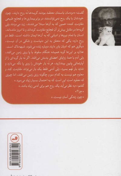 خانه گربه ها